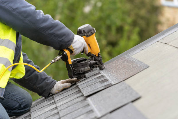 Roof Moss and Algae Removal in Port Hueneme, CA